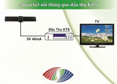 Đầu Thu + Anten DVB-T2 Truyền Hình Kỹ Thuật Số